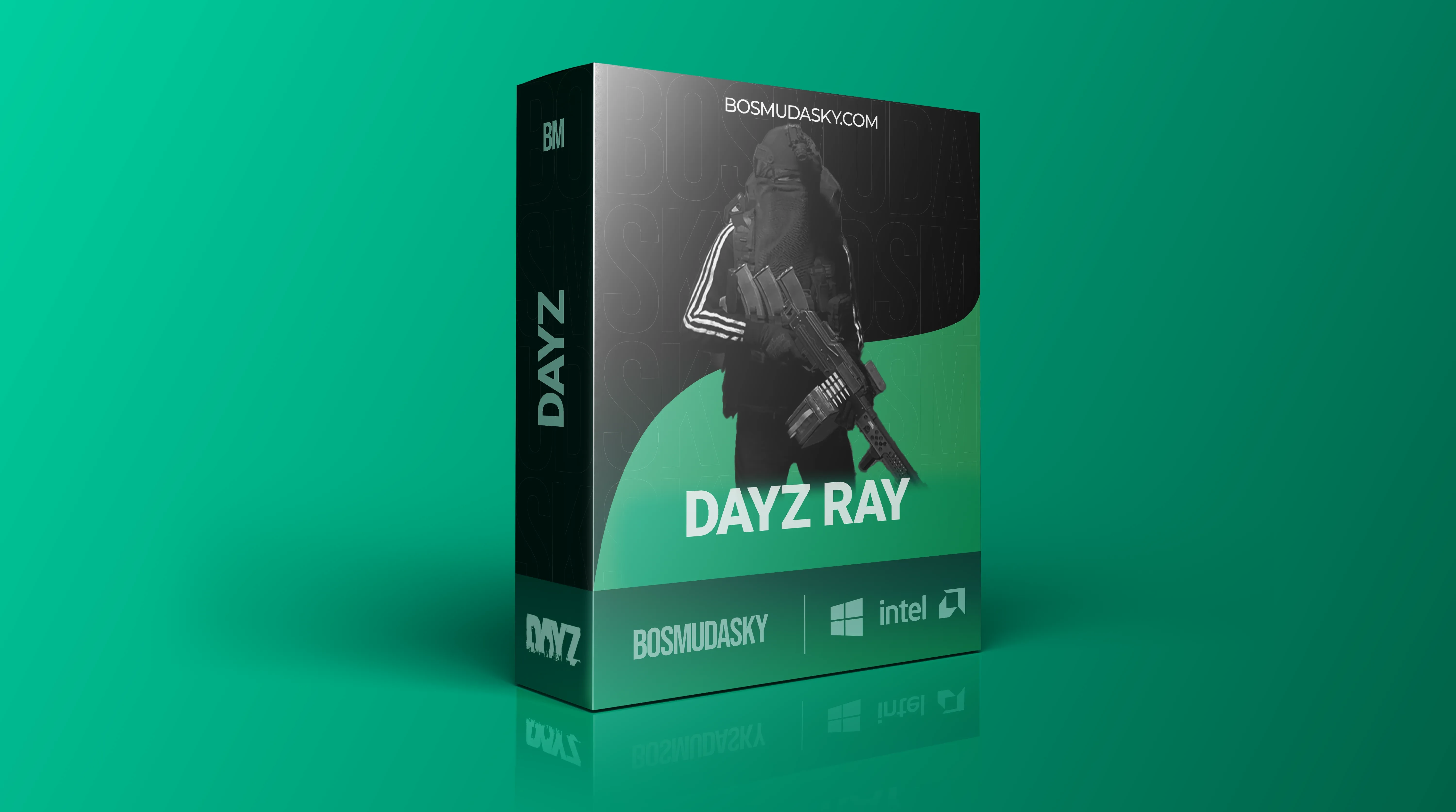 Dayz Ray